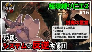 【仁王2】#16 装備は現地調達！縛る仁王2！(防具禁止、ボス戦以外術&妖怪技禁止、ドロップ武器(最低レア)のみ)～やりこみ縛りプレイ仁王2～【ろびんどっとちゃー】