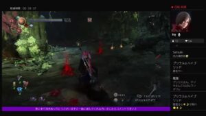 仁王深部ソロ特訓中