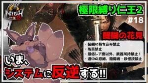 【仁王2】#18 装備は現地調達！縛る仁王2！(防具禁止、ボス戦以外術&妖怪技禁止、ドロップ武器(最低レア)のみ)～やりこみ縛りプレイ仁王2～【ろびんどっとちゃー】