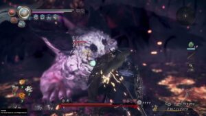 仁王2　奈落獄深部＋9 白虎ノーダメージ（全武器種）