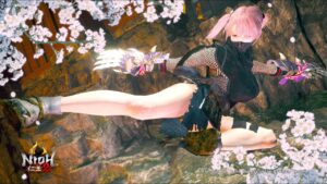 忍び装備をベースに窮地を探す旅【仁王2/NIOH2】