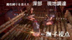 仁王2 【属性縛りを添えての深部現地調達】燃える撫子視点