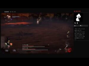 仁王2　バトオペがメンテナンスさんで狂いまくり