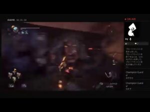 仁王2やって寝るわよ