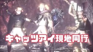 【仁王2】キャッツアイ同行★属性縛りを添えての深部現地調達　癒しのふくろう視点