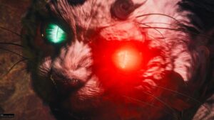 《仁王2》禍虎去，福虎來！祝大家新的一年虎虎生風！白虎 仁王的夢路 刀 無傷 難行石+9 (套用等級)｜Nioh 2｜White Tiger｜DotN P+9, Swords, No Damage