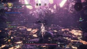 仁王2  Lv1で進める奈落獄深部+9  ソロ同行ハードモード  21F～25F(未達成)