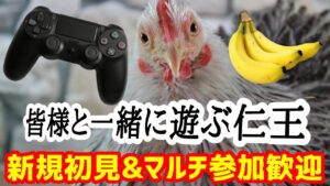 仁王2ヌオウコラッセイ配信！^^お手伝いまたは主の落命するエンジョイな感じです！第348蟹！Thank You for comming＃初見歓迎#マルチ参加型