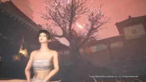 【仁王2】裸ソロ同行　奈落獄60日目