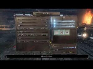 海外のフレンドさんに稽古して頂く腕前仕合【仁王】