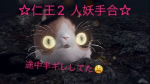 仁王2　人妖手合