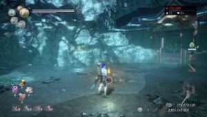 仁王２難行９で普通にやる仁王の夢路　蝮の神域