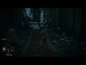 仁王腕前仕合現役世界ランカーが完全初見プレイで頑張る【エルデンリング】