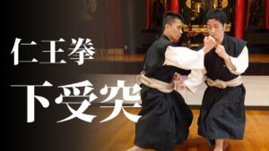 【宗門の行としての少林寺拳法】仁王拳　下受突
