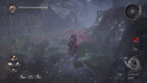 武功を求めて　　仁王