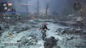 【仁王２】奈落獄クリアしたので、ちょっとマルチで遊びたい♪