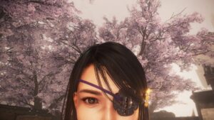 仁王2 ウォーロンなんとか発売記念