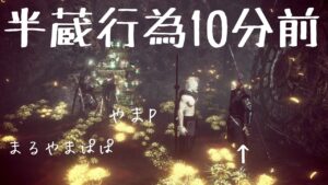 仁王2 【目的フリーのマルチ参加型】ご参加&賑やかしコメント大歓迎🤗✨