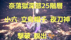 仁王2難行９で普通にレベル上げて奈落獄深部ボス直25階層