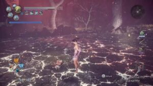 【仁王2】裸ソロ同行深部3日目