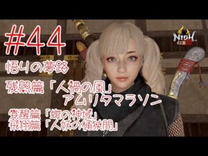 仁王2 ＃44 悟りの夢路 残照篇「人禍の風」 アムリタマラソン 覚醒篇「蝮の神域」 飛翔篇「人妖の桶狭間」