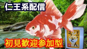 夜.仁王２.コラッセイ配信！お手伝いや深部や返しの練習等！エンジョイな感じです！第493蟹！Thank You for comming＃初見歓迎＃マルチ参加型