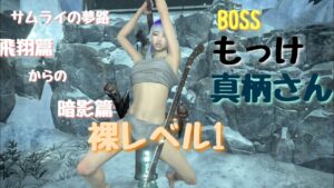 仁王２　ぬけがけ裸レベル１サムライの夢路飛翔篇からの暗影篇