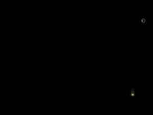 鉄拳は初心者、仁王は上級者【腕前仕合】