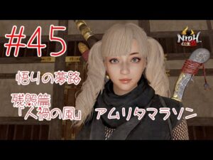 仁王2 ＃45 悟りの夢路 残照篇「人禍の風」 アムリタマラソン