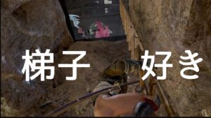 仁王2 【なでしこ一人でできるかな？チャレンジ】深部でソロ現地練習(未達成)