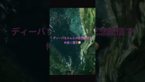 ディーバちゃんとの仁王2記念配信中に起こった事件🤣