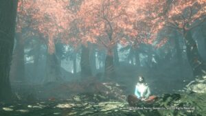 【仁王2】Lv1ソロ同行  あやかし一夜城