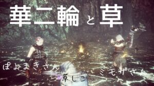 仁王2 【落命・失敗してもだいじょうぶ🙋マルチ練習会】ご参加&コメント大歓迎です🤗✨