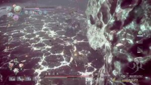 仁王2　ソロ深部で練習