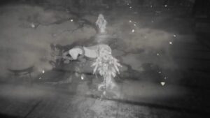 仁王飲み会　フンドシ番外編　私たちを牛鬼まで連れてって！