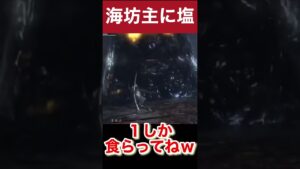 【仁王初見プレイ】倒せなさすぎて思考がとち狂う#仁王#初見プレイ#塩は調味料