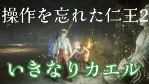 操作を忘れた仁王2を久々に起動したら最初にカエルが来た…