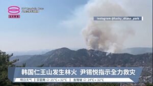 韩国仁王山发生林火  尹锡悦指示全力救灾【2023.04.02 八度空间华语新闻】