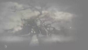 仁王2　朝仁王( ･´ｰ･｀)