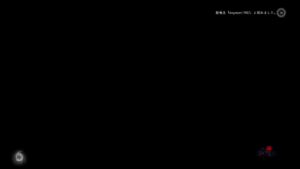 ド下手プレイヤーの仁王2PS4(下手でも良ければお手伝いします）