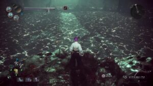 仁王2　窮地フツヌシ　リハビリ