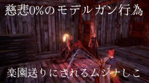 【仁王2】Lv1仁王の夢路(逢魔でゲージを減らしまくるN子編)