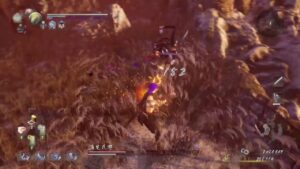 普通にやる仁王2　暗影篇2