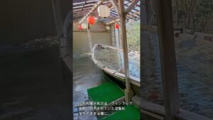 【鬼怒川温泉】仁王尊プラザ  #源泉かけ流し #shorts