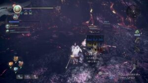 仁王2　フレさんと😊