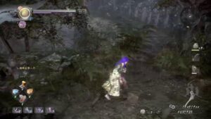 普通にやる仁王2　あやかしの夢路　飛翔篇～