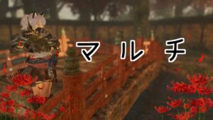 【仁王２】固定マルチ