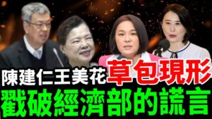 ##南門市場數發部 #陳建仁王美花草包現形 #戳破經濟部的謊言 #陳建仁 #王美花 #陳玉珍 #王鴻薇